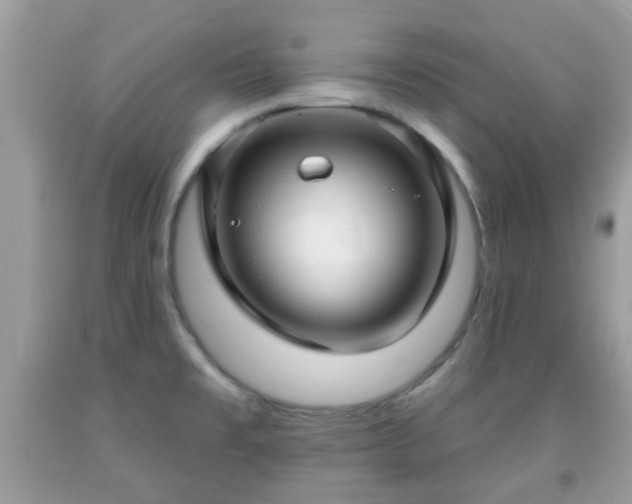 X0000091991477200709131443