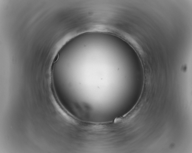 X0000091991479200709131443