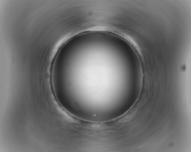 X0000091991480200709131443