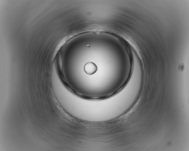 X0000091991481200709131443