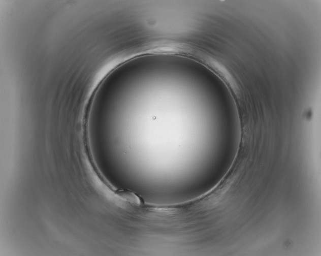 X0000091991483200709131443