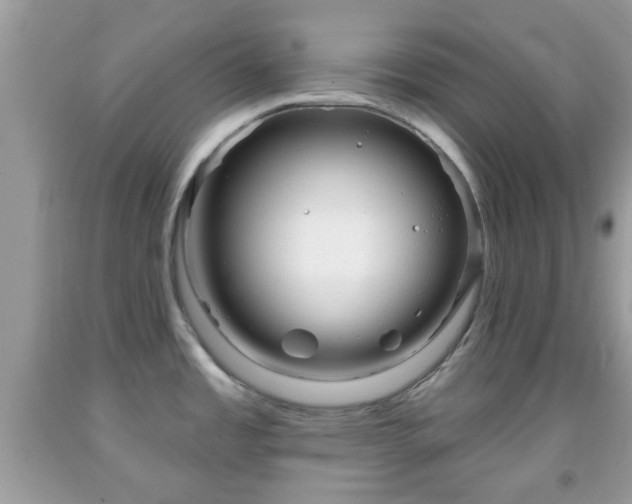 X0000091991485200709131443