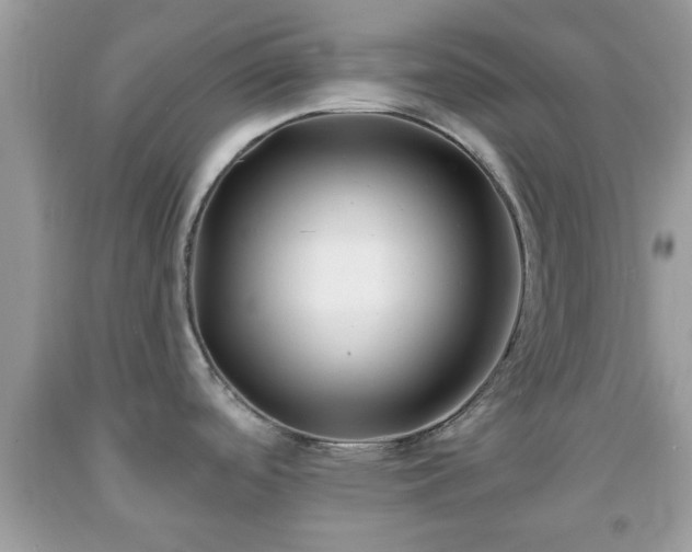 X0000091991488200709131443