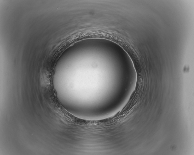 X0000091991490200709131442