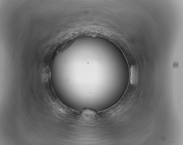 X0000091991491200709131442