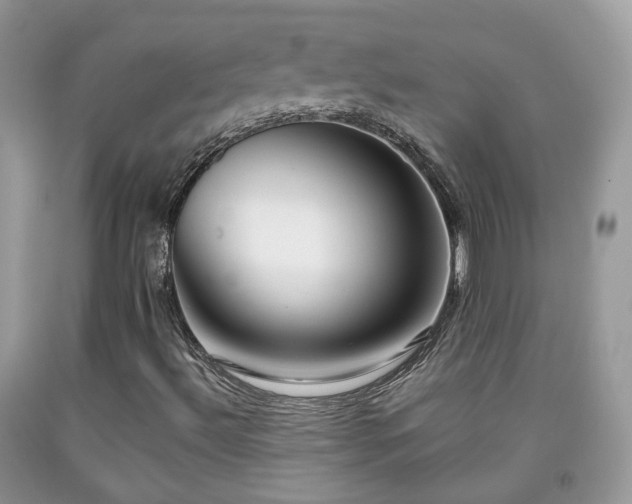 X0000091991492200709131442