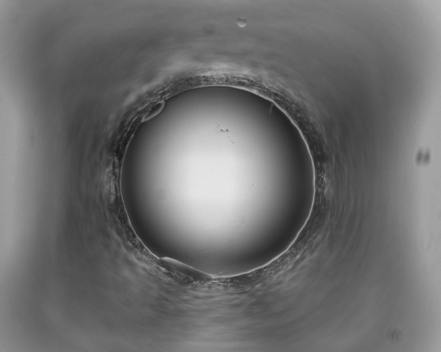 X0000091991493200709131443