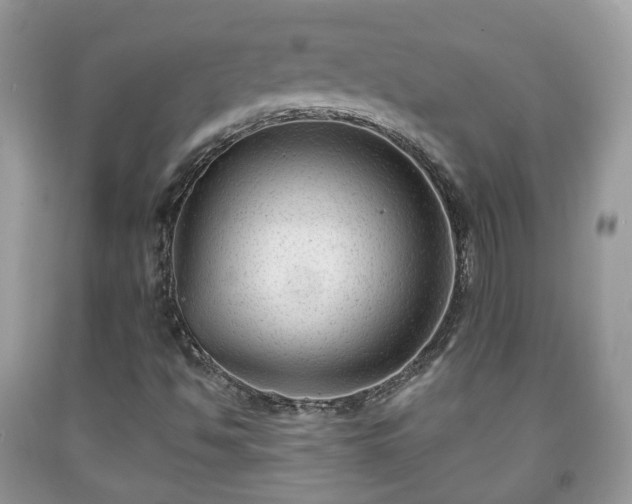 X0000091991494200709131443