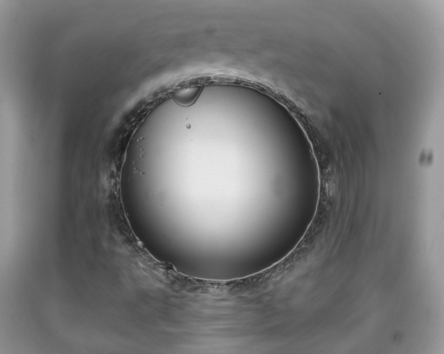 X0000091991495200709131443