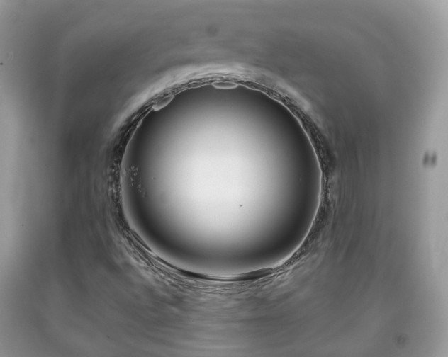 X0000091991496200709131443