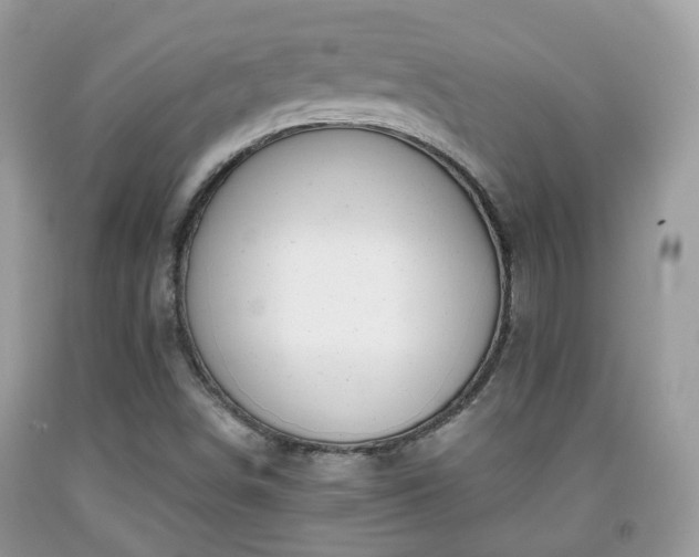 X0000091991498200709131443