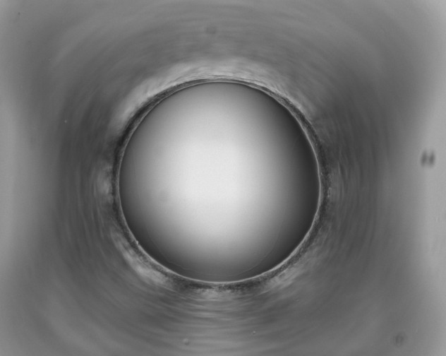 X0000091991499200709131443