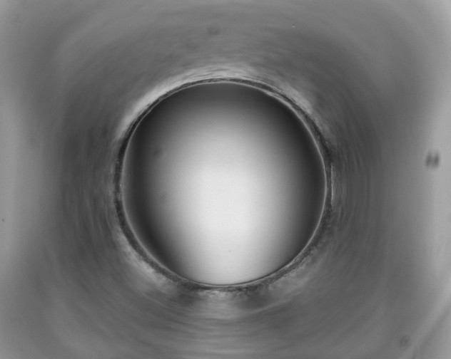 X0000091991500200709131443