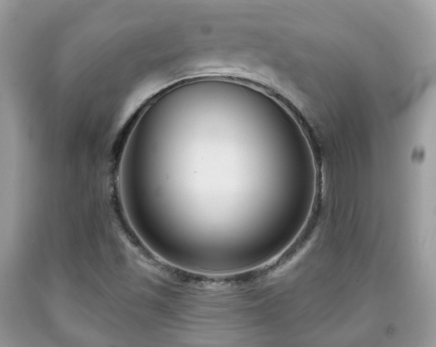X0000091991501200709131443