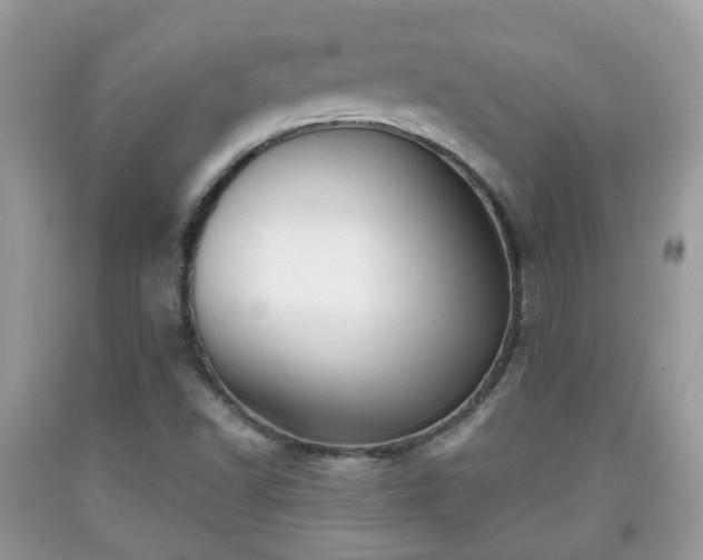 X0000091991502200709131443