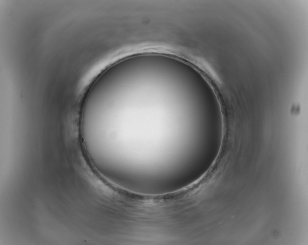 X0000091991504200709131443