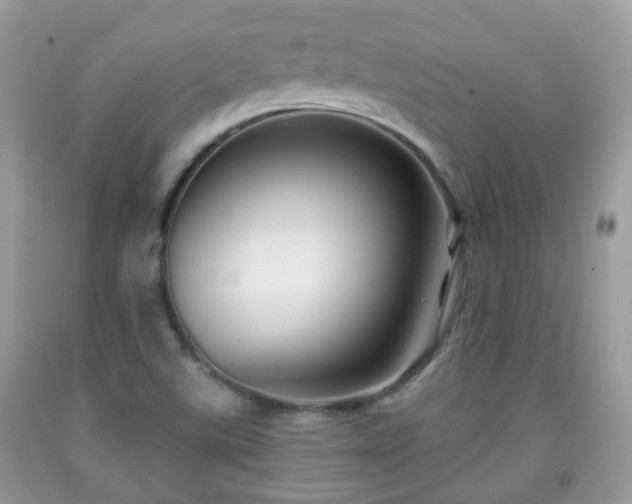 X0000091991507200709131443