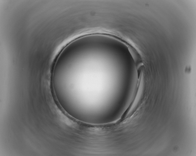 X0000091991508200709131443