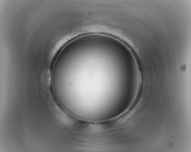 X0000091991509200709131443