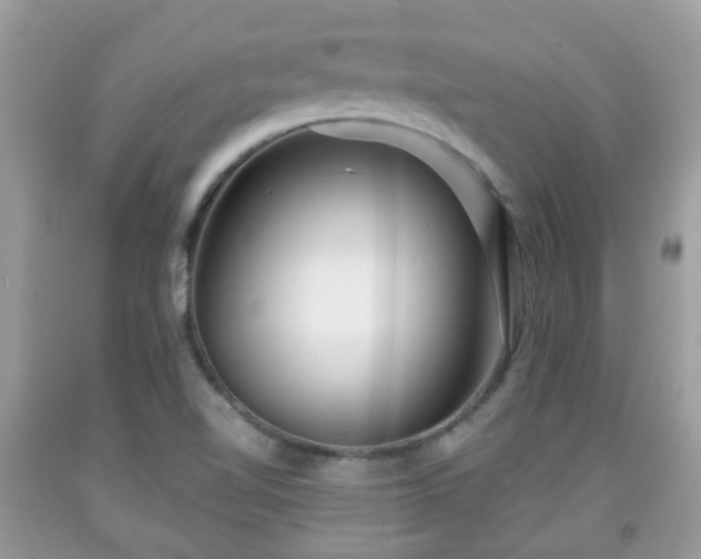 X0000091991510200709131443