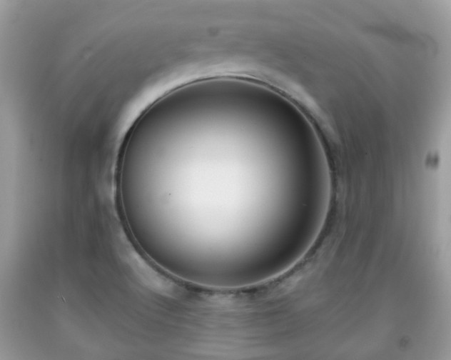 X0000091991512200709131443