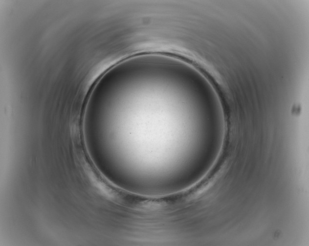 X0000091991513200709131443