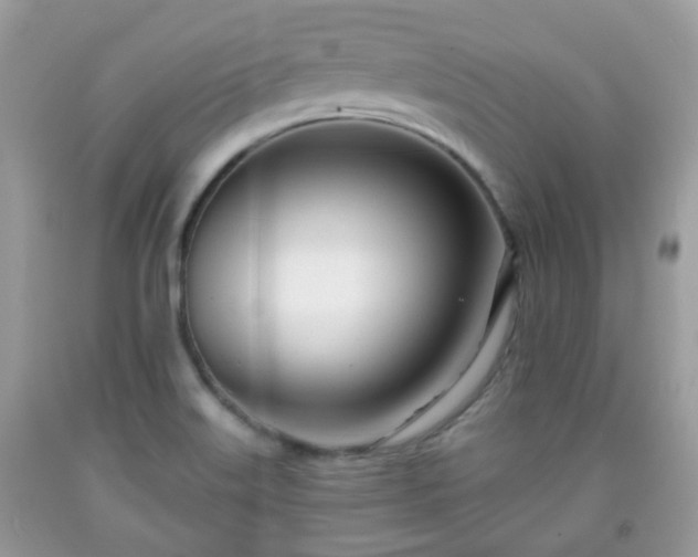 X0000091991515200709131443