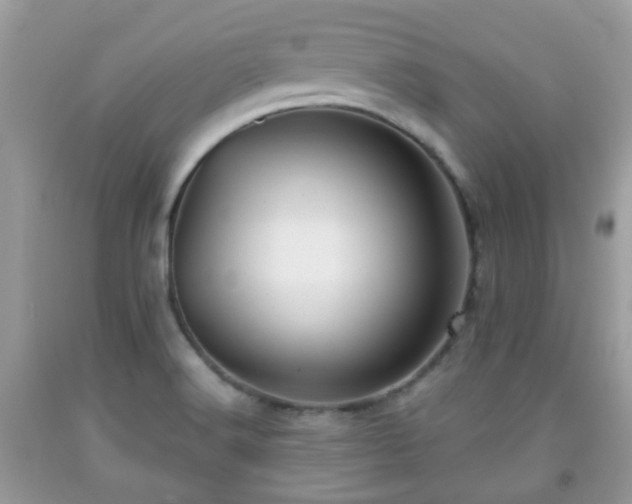 X0000091991516200709131443