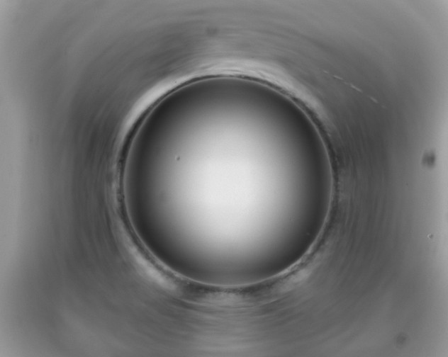 X0000091991517200709131443