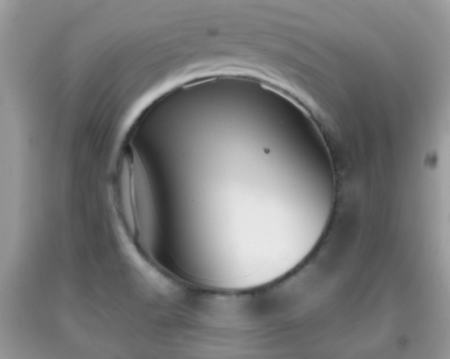 X0000091991518200709131443