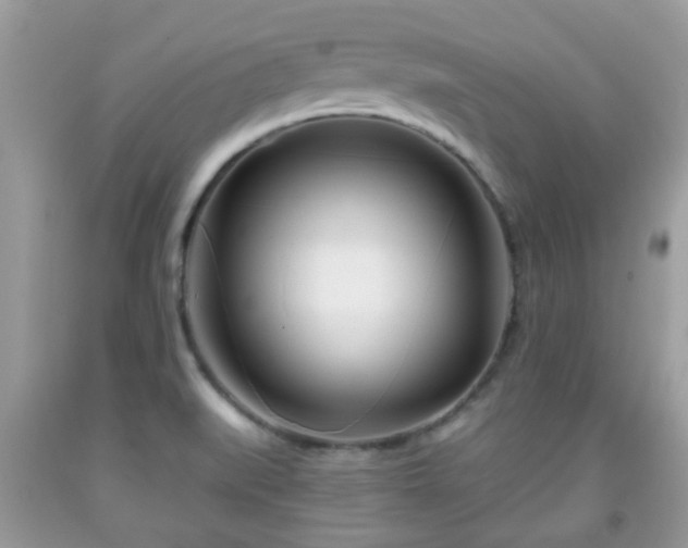 X0000091991519200709131443