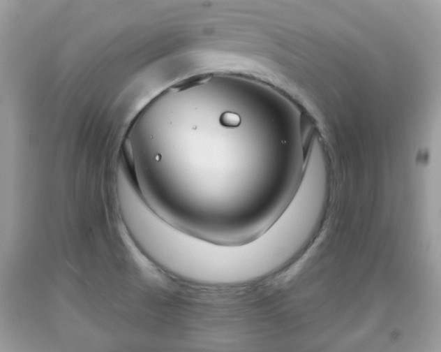 X0000091991521200709131443