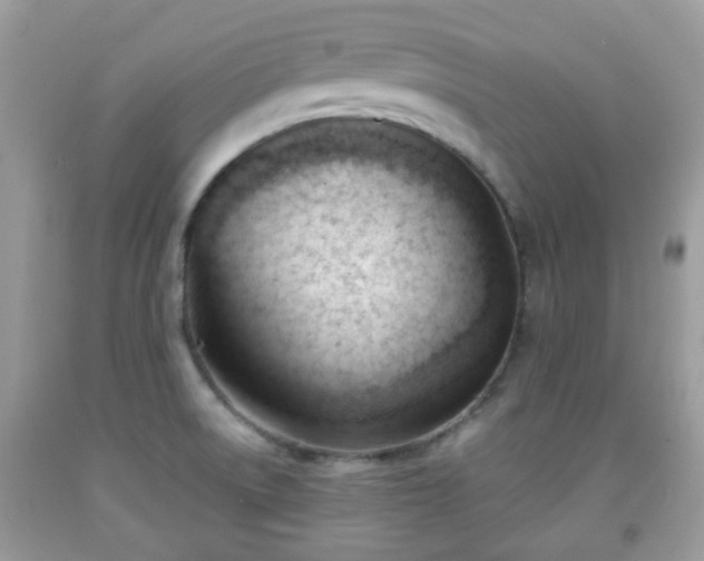 X0000091991522200709131443