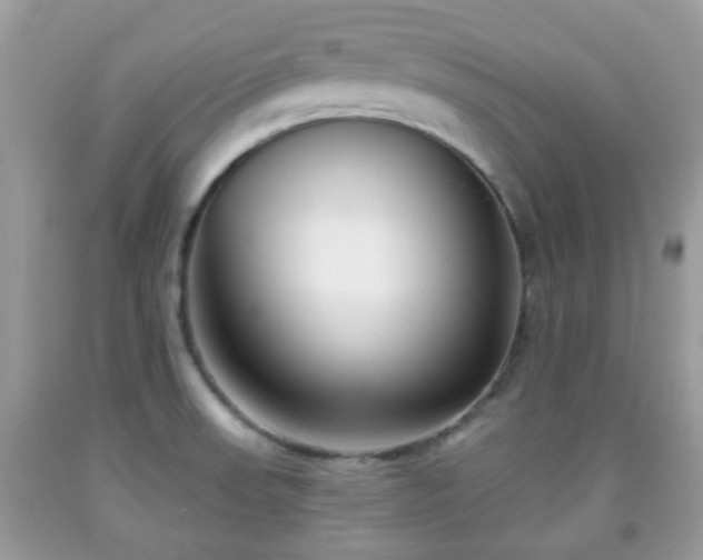 X0000091991523200709131443