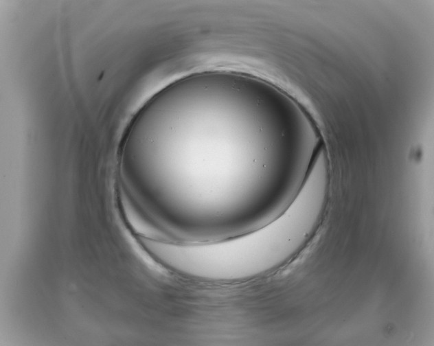 X0000091991525200709131443