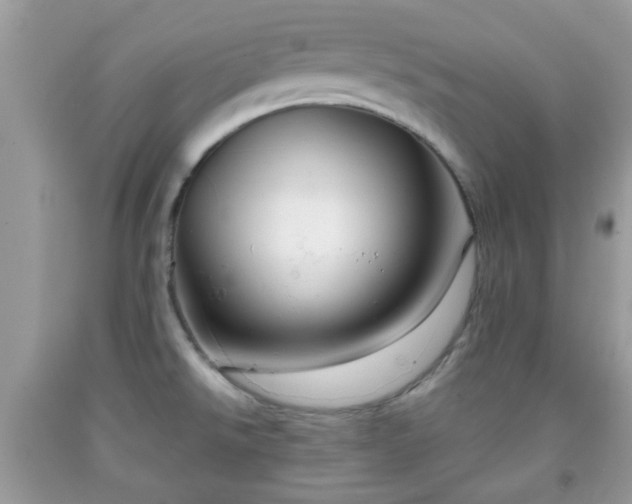 X0000091991526200709131443