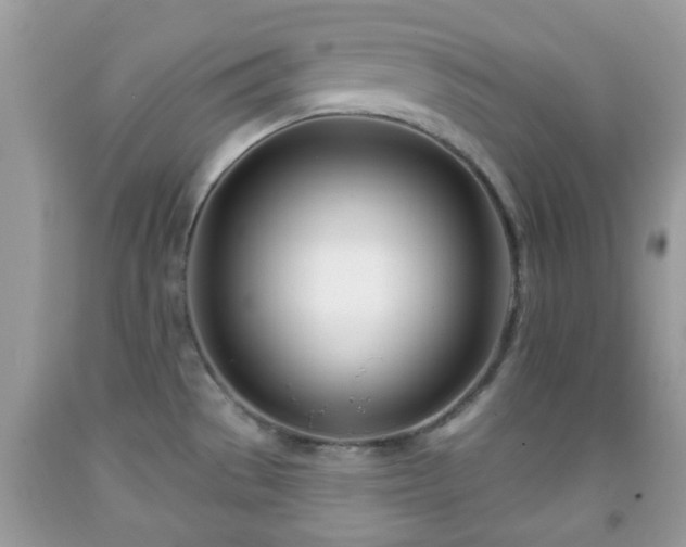 X0000091991529200709131443