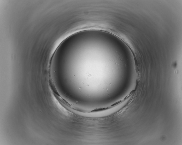 X0000091991532200709131443