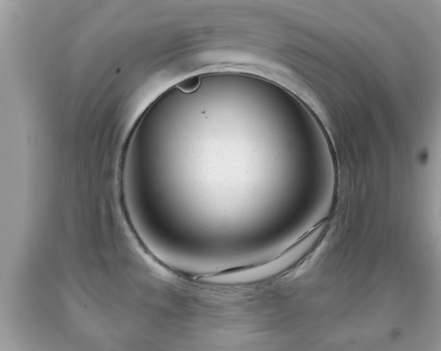 X0000091991533200709131443