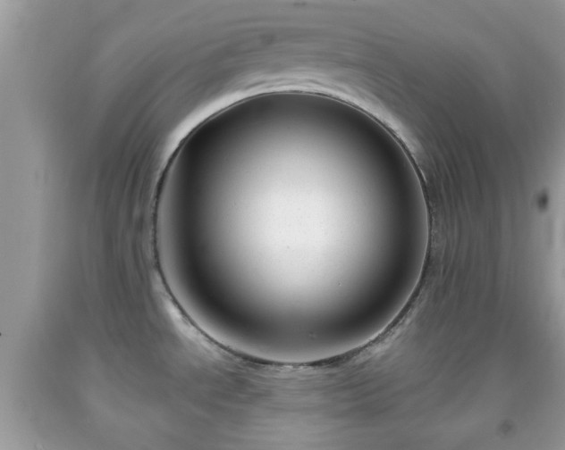 X0000091991534200709131443