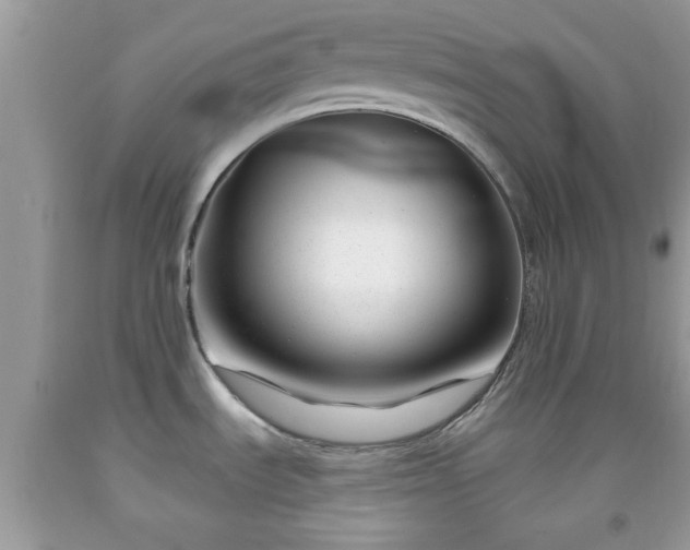 X0000091991535200709131443