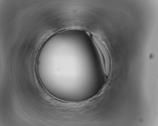 X0000091990001200709201457