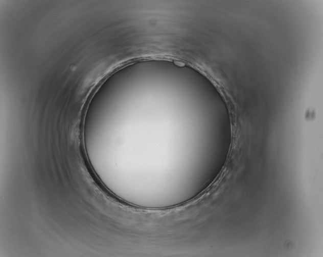 X0000091990002200709201457