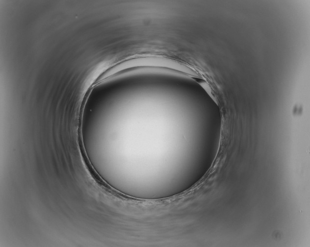 X0000091990003200709201457