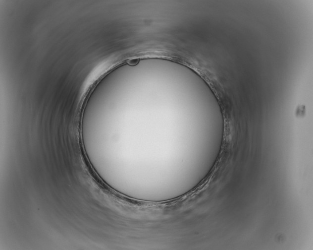 X0000091990004200709201457