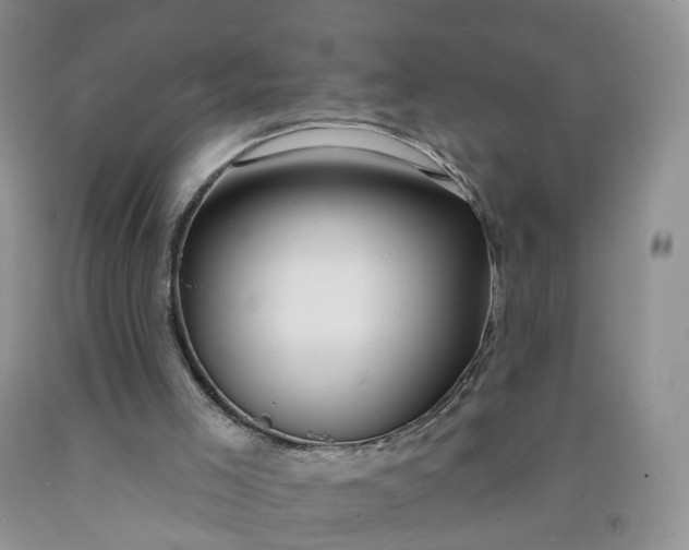 X0000091990005200709201457