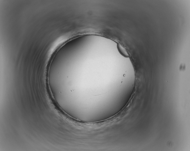 X0000091990006200709201457