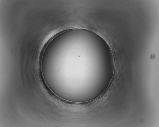 X0000091990008200709201457