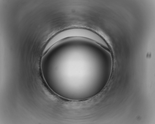 X0000091990009200709201457