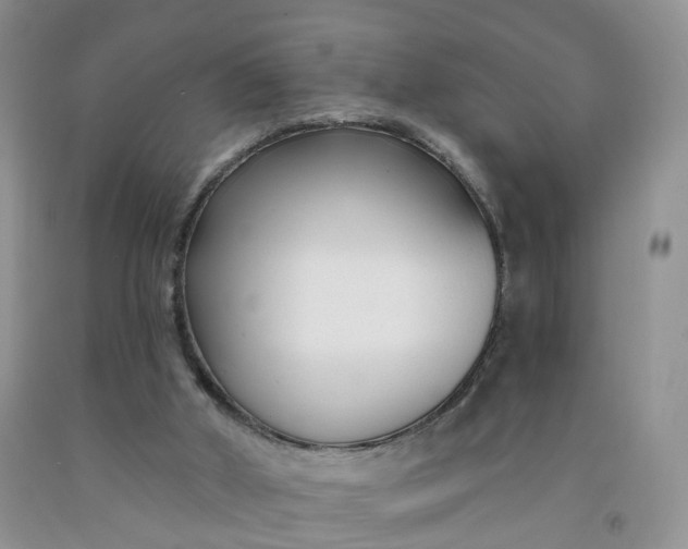 X0000091990010200709201457